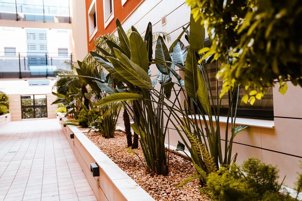 Apartamento Sol Dénia Exterior foto